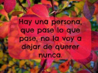 /album/una-sola-palabra-te-amo/a1374998-481274775313324-1578863961-n-jpg/