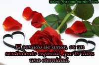 /album/una-sola-palabra-te-amo/el-sentido-de-amar-frases-de-amor-jpg/