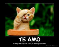 /album/una-sola-palabra-te-amo/pensamientos-frases-de-amor-para-facebook-7-jpg/